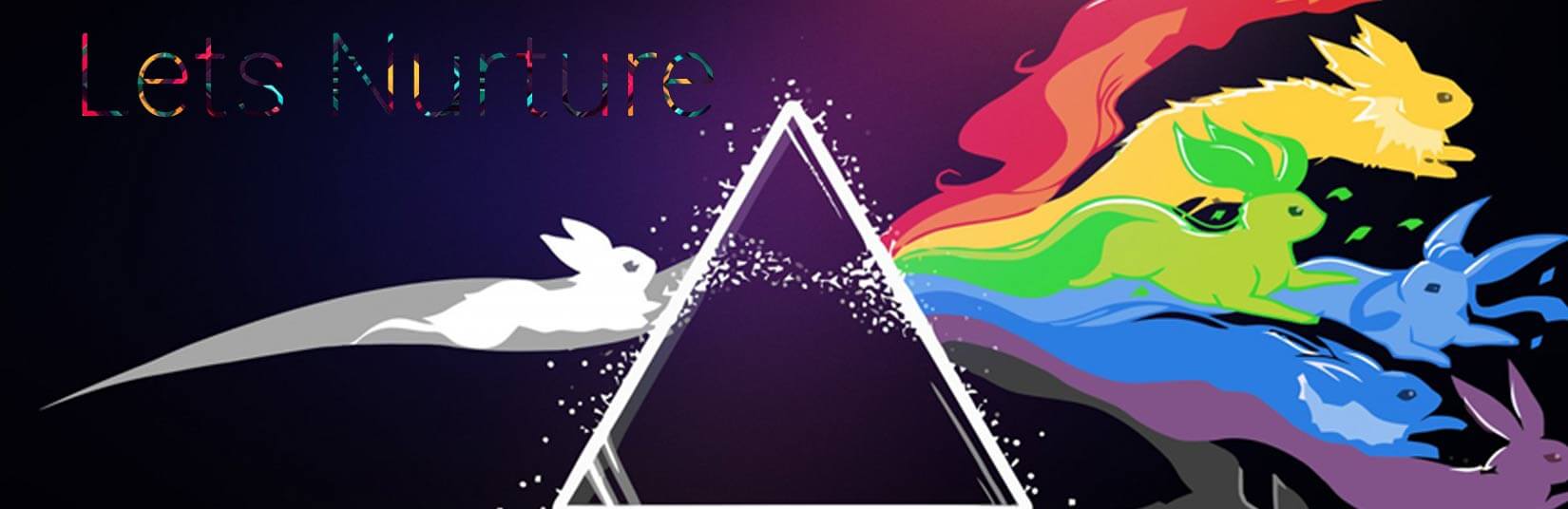 Know What Is It Like to Be A Web Designer At Lets Nurture!