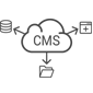 CMS Development