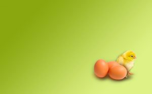 Tech Trends for Hatchery Business