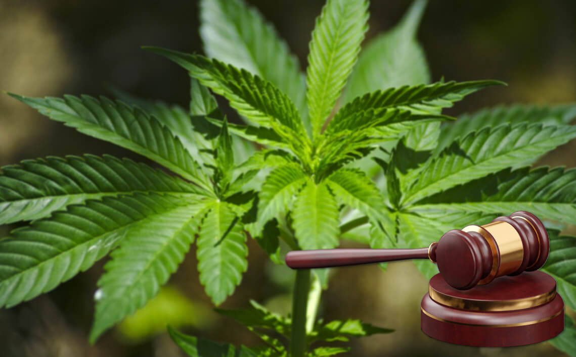 Implications of Medical & Recreational Marijuana Legalization on Tech Sector