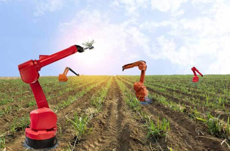 Automnomous-robotic-farming