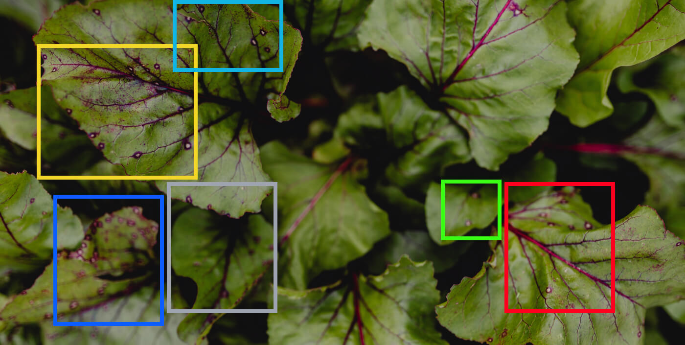 Using Deep Learning for Image-Based Plant Disease Detection